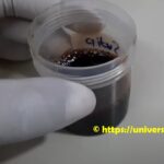 Alkaptonuria: Introduction, Symptoms, Causes, Laboratory Diagnosis, Treatment, and Keynotes