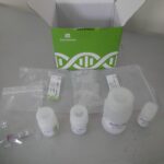 SARS‑CoV‑2 RNA Extraction using Biocomma Kit Introduction, Reagent Preparation, Extraction Requirements, Procedure, and Keynotes