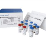 Fungus(1-3)-β-D-Glucan Test (Chromogenic Method) Introduction, Principle, Product Features, and Keynotes