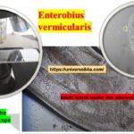Enterobius: Introduction, Morphology, Pathogenicity, Lab Diagnosis, Treatment, and Prevention