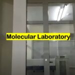 Molecular Laboratory- Introduction, Branches, Application, and Keynotes