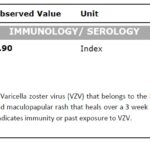 Varicella -Zoster IgG Antibody Test Introduction, Test Result, Unit, Normal Range, Test Method, Clinical Significance, and Keynotes