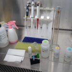 Swine Flu (H1N1 Flu)- Introduction, Morphology, Pathogenicity, Lab Diagnosis, Treatment, Prevention, and Keynotes