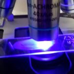 Direct Microscopy-Fluorescent staining- Introduction, Uses, and Keynotes