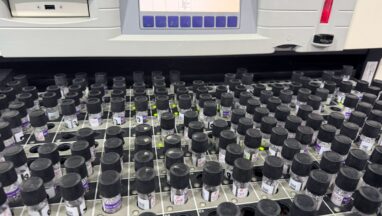 BD BACTEC™ MGIT™ 960 System-Automated Mycobacterial Culture and Susceptibility Testing