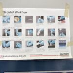 TB-LAMP- Introduction, Principle, Procedure, Result Interpretation, and Keynotes